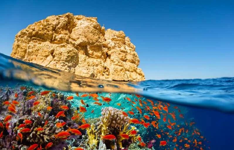 Берега красного моря фото Лучшие места для дайвинга в Египте EAZYDIVERS