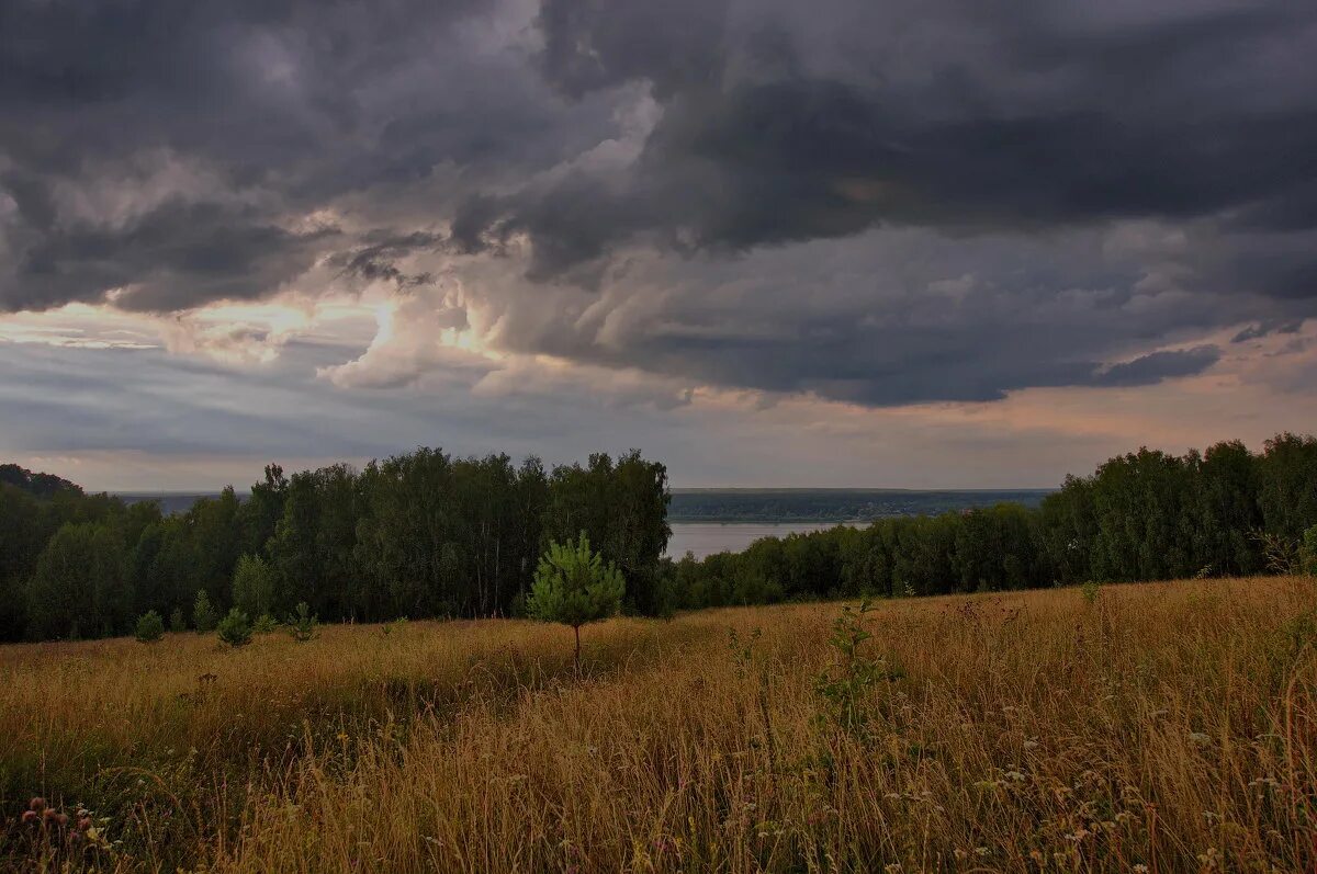 большое бабье новгородской области. конец лета природа. конец лета и начало осени видео. август природа. лес конец лета.