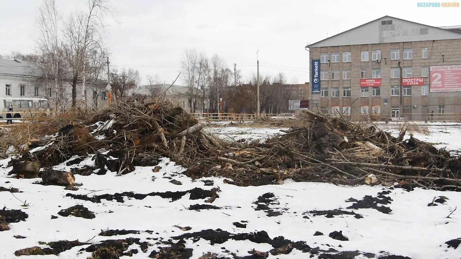 Погода в назарово сегодня. Назарово парк Ладыниной. Назарово сквер. Сквер имени Ладыниной. Назарово Красноярский край.