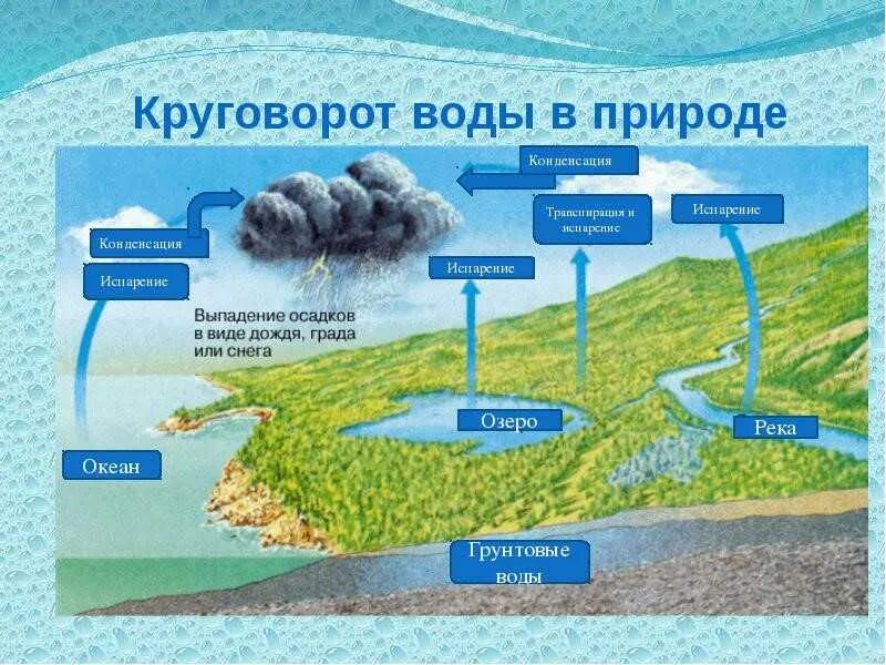 Биогеохимический цикл воды схема. Схема мирового круговорота воды 6 класс. Круговорот воды в природе география 5кл.. Этапы мирового круговорота воды в природе.