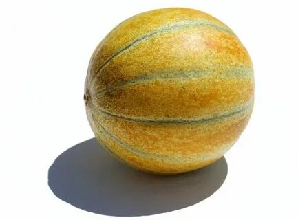 Дыня инжир
