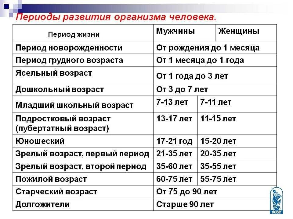 Периодизация по возрасту. Возрастные периоды развития организма. Этапы развития человека Возраст. Основные возрастные периоды жизни человека. Возрастные периоды жизнедеятельности человека.