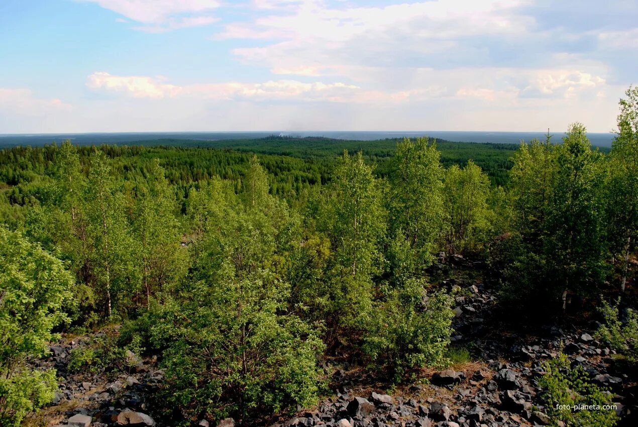 Североонежск гора Мяндуха. Гора Мяндуха Плесецкий район. Североонежск Мяндуха. Гора Ладья Плесецкий район. Гора ладья