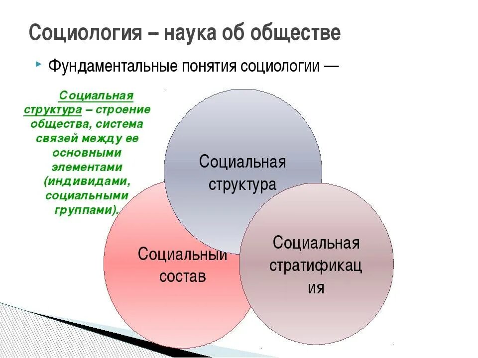 Дать определение понятию социальная структура. Классовая структура общества. социальная структура общества. социальная структура это в социологии. структура общества в социологии.