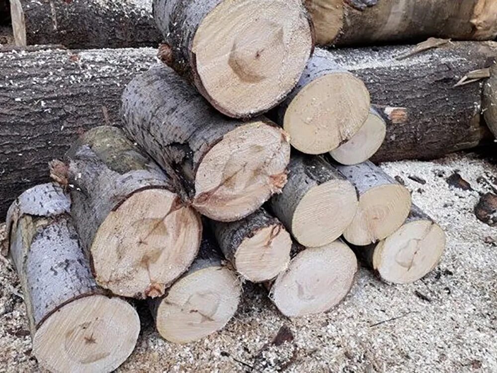 Осиновое полено. Ольха дрова. Дрова. Дрова из осины. Осиновое полено.