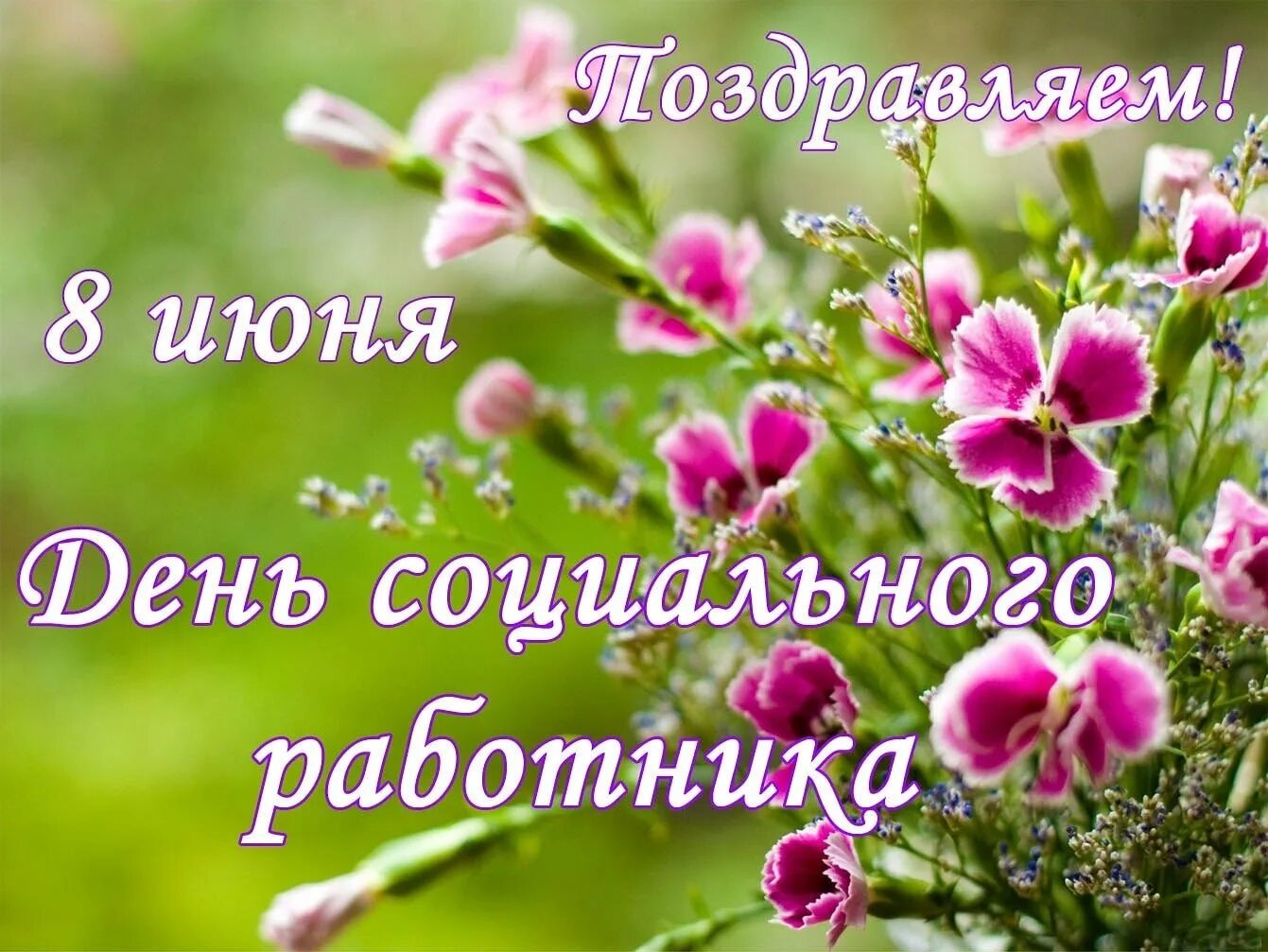 Поздравление с праздником соцработника. С днем социального работника. открытки с днем соцработника. поздравление с днем соц работника. поздравление с днем соцработника.