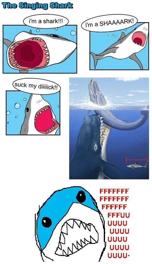 Мемы про акул. Акула Мем. Пон Мем с акулой.