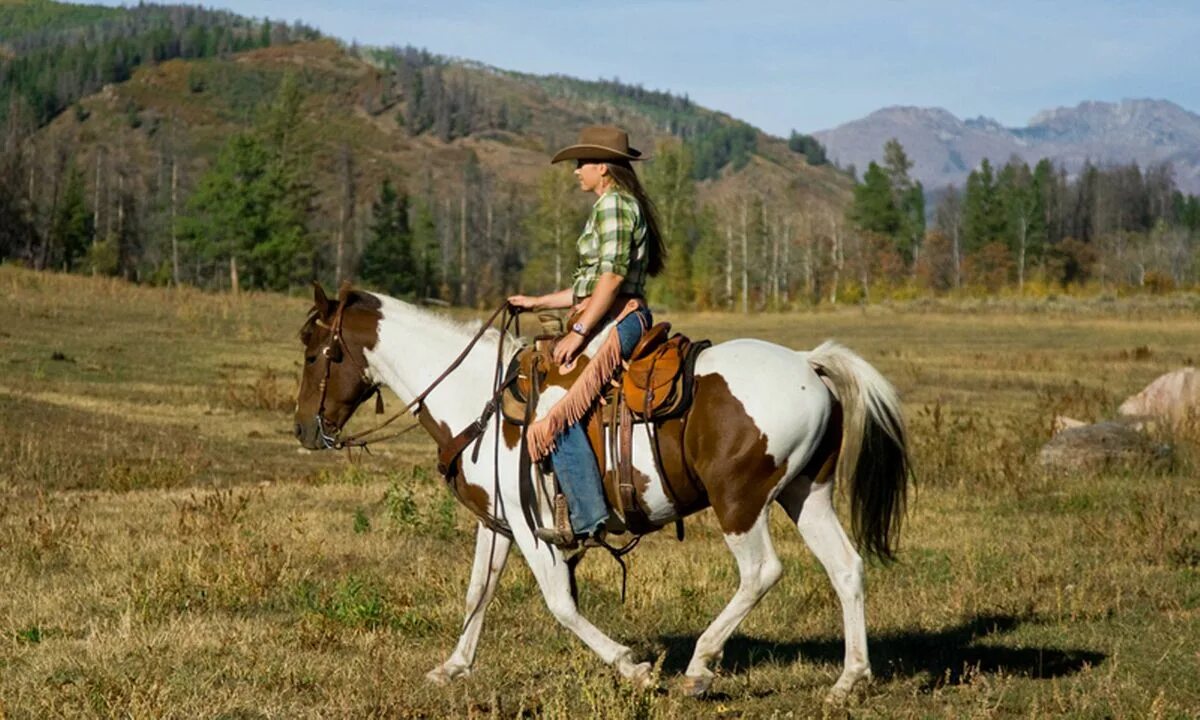 Riding around. Horse riding Mountain. Лошадь едет карьером. Женщина в тунике на коне. Girl clean Horse.