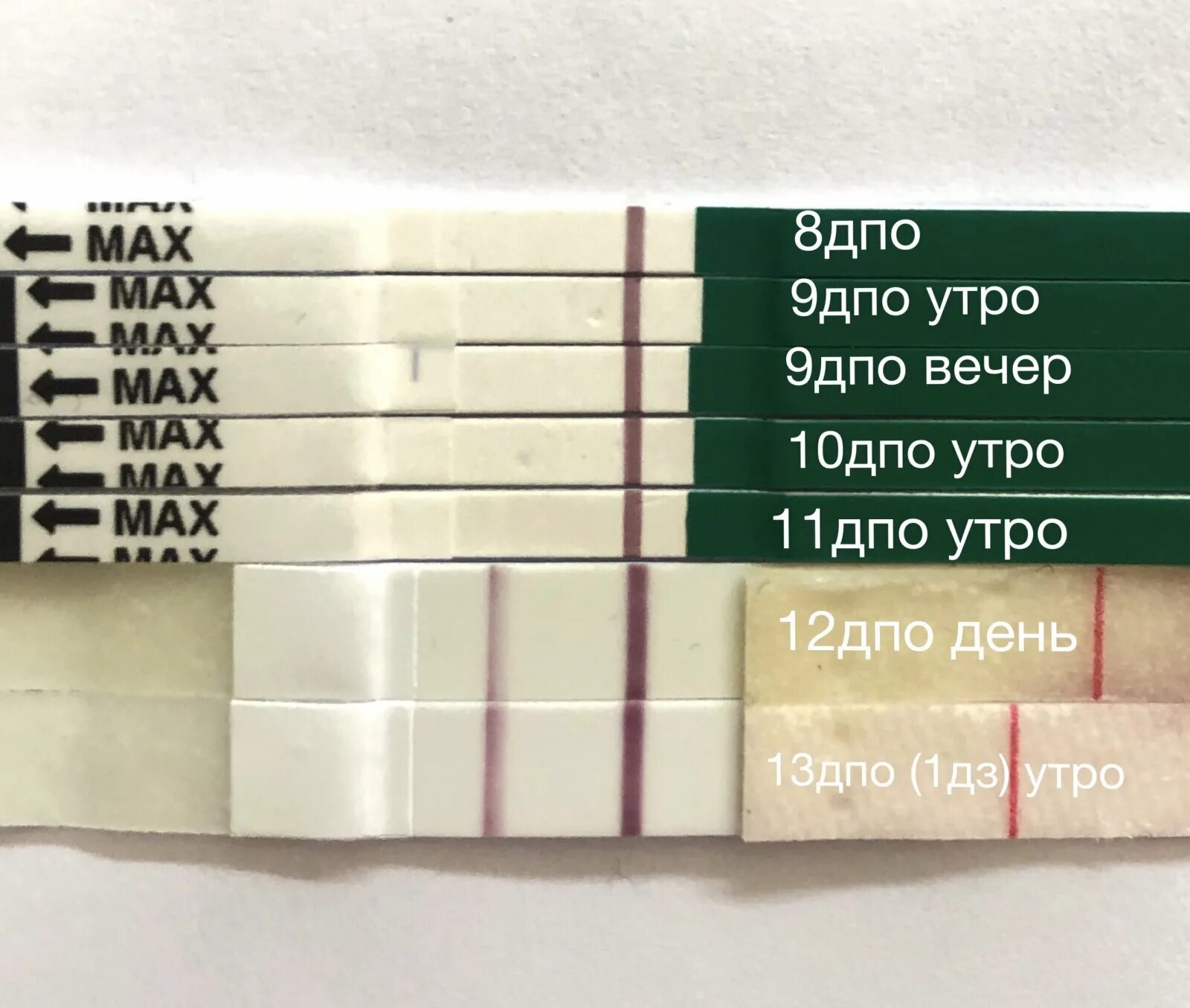 Может ли тест после. Тест на беременность на 8 день после овуляции. Тест на беременность на 7 день после овуляции. ХГЧ на 7 ДПО. Положительный тест на беременность по дням после овуляции.