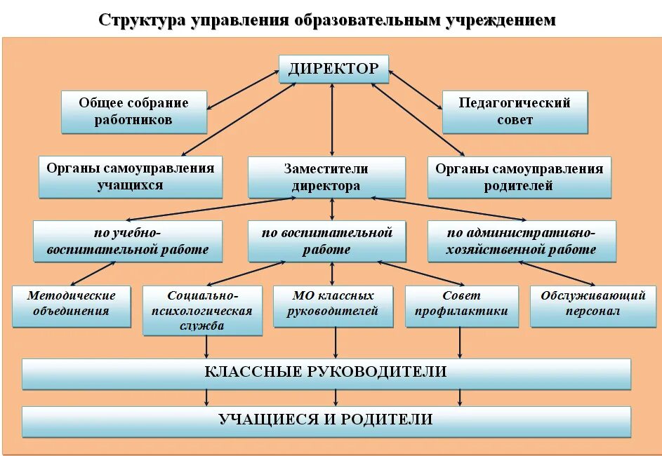 Управление национального образования. Структура учебного заведения школы. Структурная схема управления образовательной организации. Структура и органы управления образовательным учреждением. Органы управления общеобразовательной организацией.