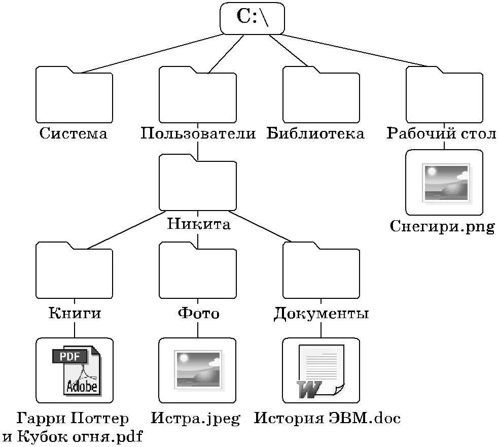 Папка каталоги дерево каталогов. Дерево каталогов Информатика 7 класс. Дерево файловой системы компьютера. Информатика 7 класс файлы и файловые структуры. Дерево каталогов.