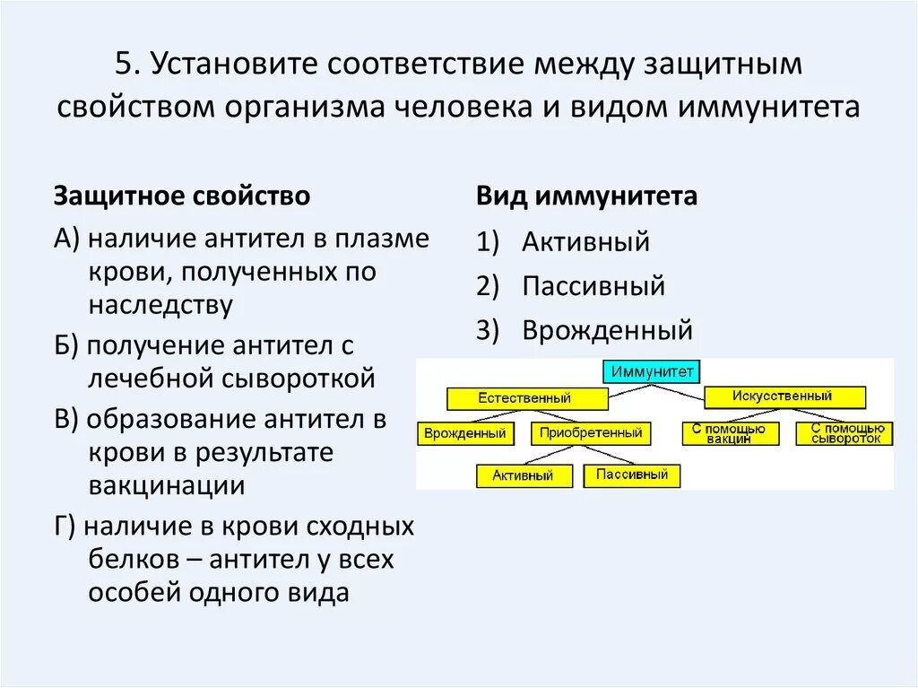 Повышение защитных свойств организма. Наличие антител в плазме крови полученных по наследству. Защитным свойством организма человека и видом иммунитета. Защитные свойства и виды иммунитета. .Защитные свойства организма. Иммунитет..