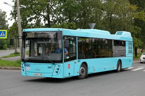 Автобус 101 санкт петербург кронштадт
