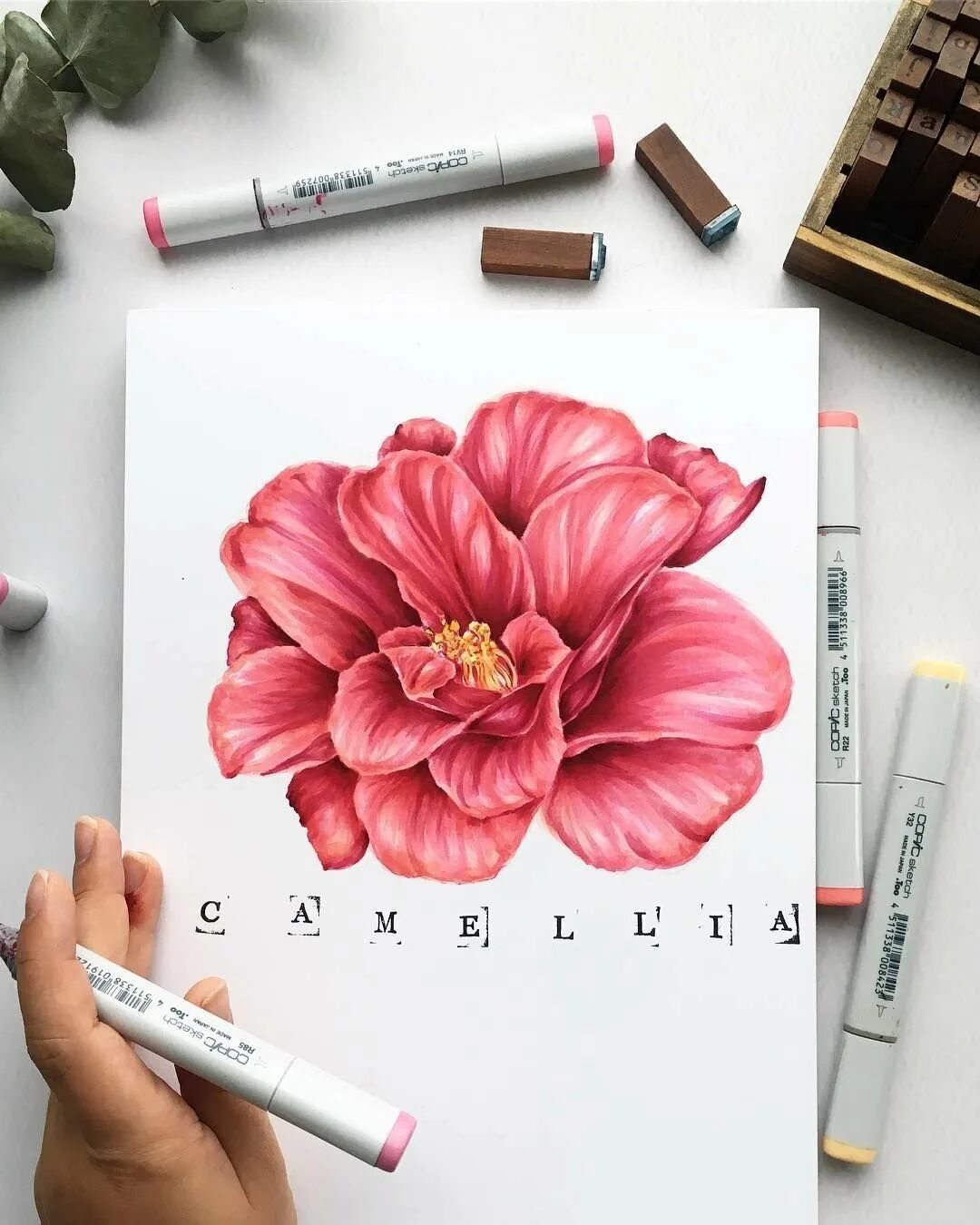 Фломастеры для скетчинга для начинающих. Скетч маркеры sketchmarker brauberg art debut. рисование маркерами для скетчинга. цветы скетч маркерами. маркер «цветок».