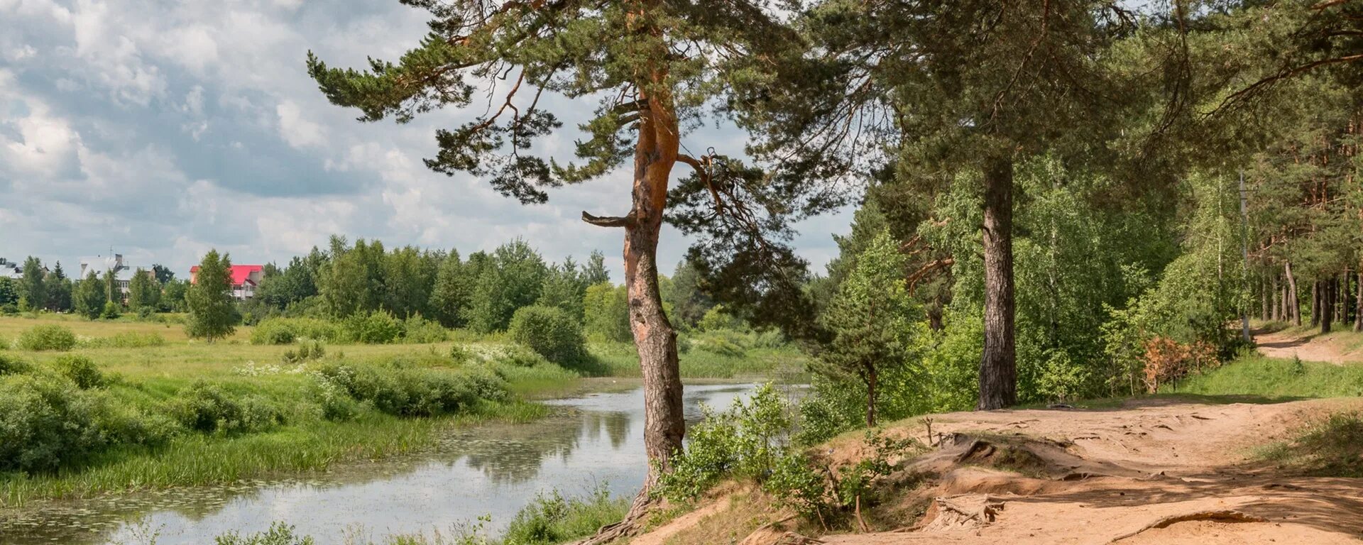 Крошки тверь. Первомайская роща Тверь. Тверь роща Первомайская роща Тверь. Первомайская роща Тверь речка. Сосна в Первомайской роще Тверь.