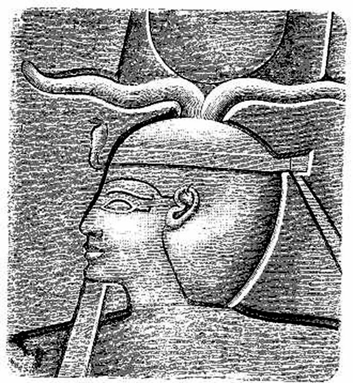 Тот родил его фараон 6 букв сканворд. Фараон Шешонк. Египетский фараон Сусаким. Шешонк 2. Фараон Шешонк i.