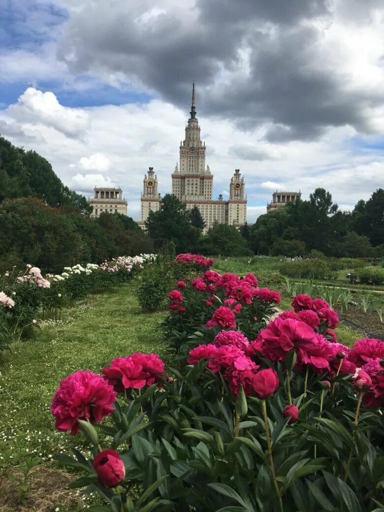 Сад биологического факультета мгу. Ботсад МГУ. Ботанический сад МГУ Москва. Ботанический сад МГУ Аптекарский огород. Ботанический сад МГУ им. Ломоносова м.в..