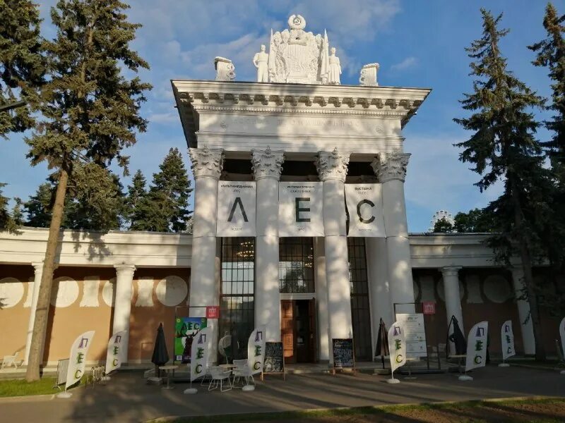 Павильон №17. Павильон лесное хозяйство на вднх. Павильон лесная промышленность. Павильон лесная промышленность вднх. Павильон леса на вднх.