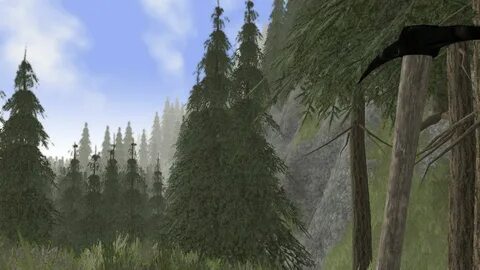 Rising world