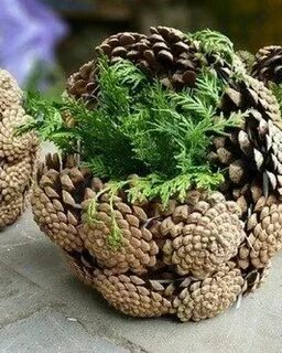 Декор из шишек для дома