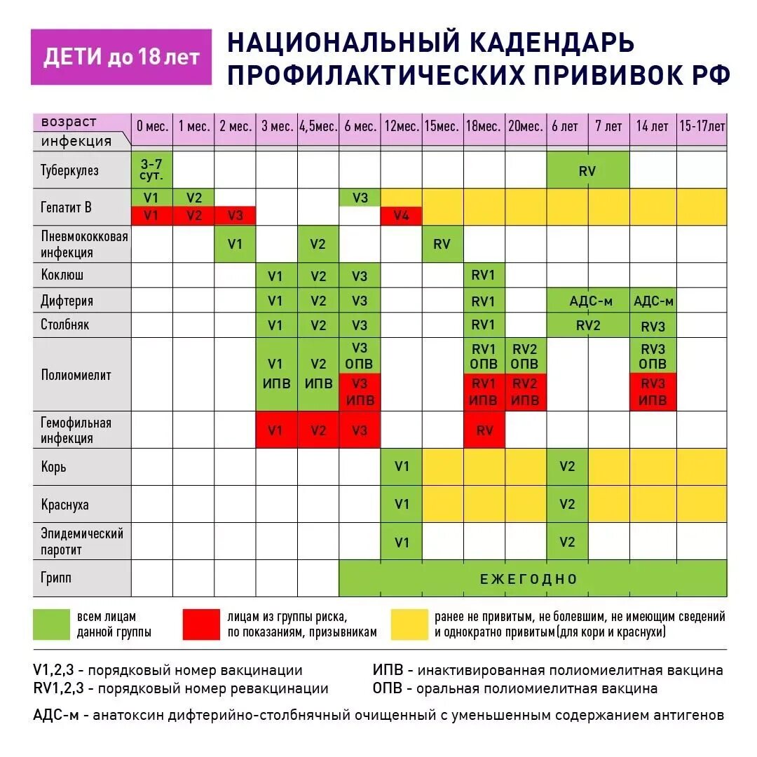 Гепатит национальный календарь. Национальный календарь прививок РФ таблица. Прививки в 2 года ребенку таблица прививок. Превенар национальный календарь прививок. График обязательных прививок для детей до года.