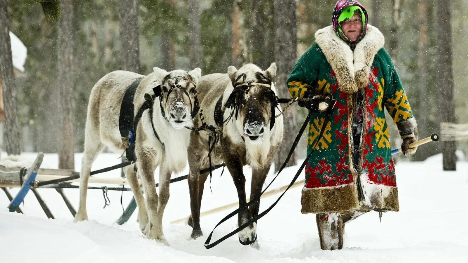 Сколько людей в хмао. Ханты и манси. Ханты Мансийский Югра. Ханты манси народ. ХМАО поселения коренных народов.