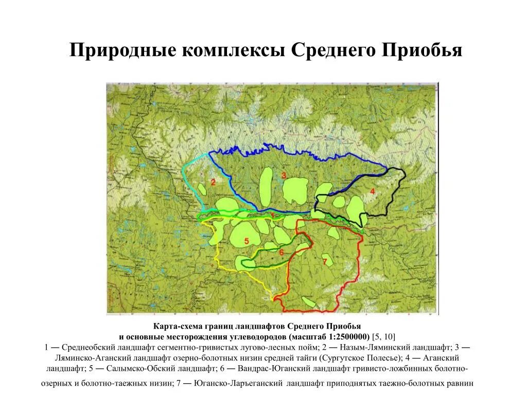 Г средний на карте. Среднее Приобье на карте. Среднее Приобье на карте России. Западная Сибирь среднее Приобье на карте. Сургутское Полесье.
