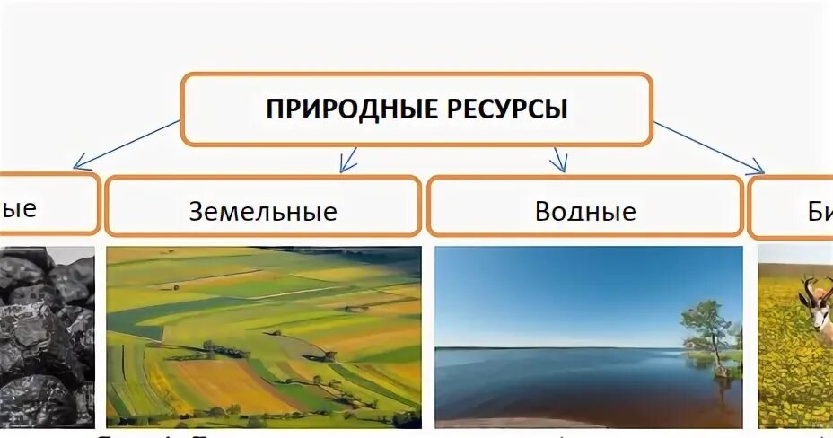 Природные ресурсы земельные водные