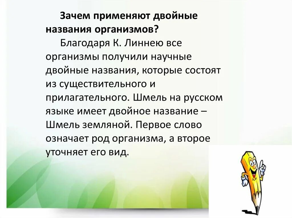 Почему называют мужским. Классификация организмов применение двойных названий. Классификация организмов применение двойных названий организмов. Двойное название организма указывает на. Организм человека с названиями.