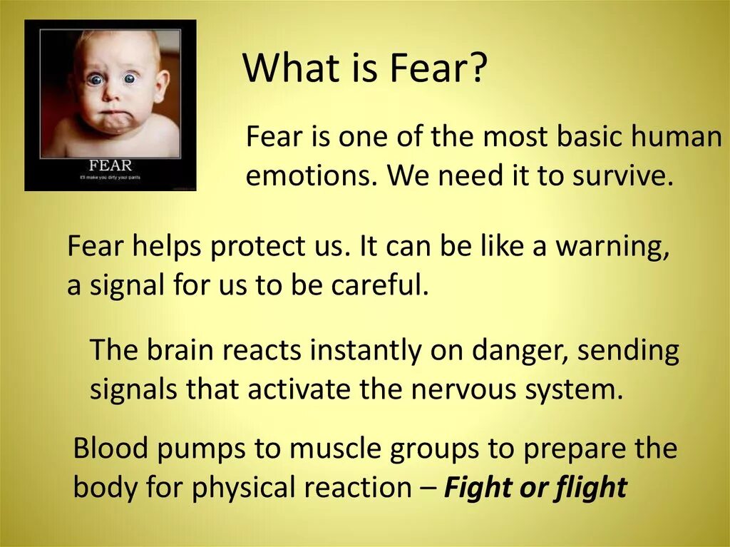 A phobia is an fear of something. Fears and Phobias презентация. Fears and Phobias презентация 9 класс. Страхи на английском языке. Types of Phobias презентация.