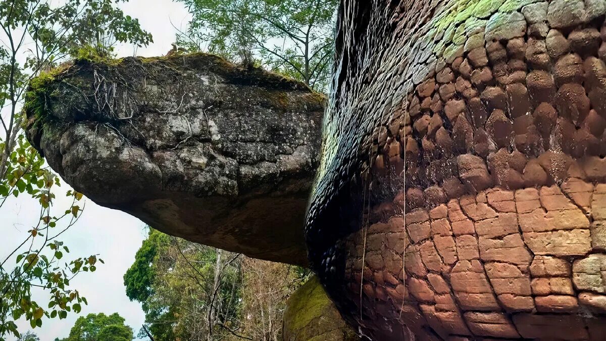 Окаменевшая ТИТАНОБОА. Пещера Нака окаменевшая змея. Гигантская окаменевшая змея в Тайланде. Окаменелая змея в Тайланде гигантская. Находиться громадный