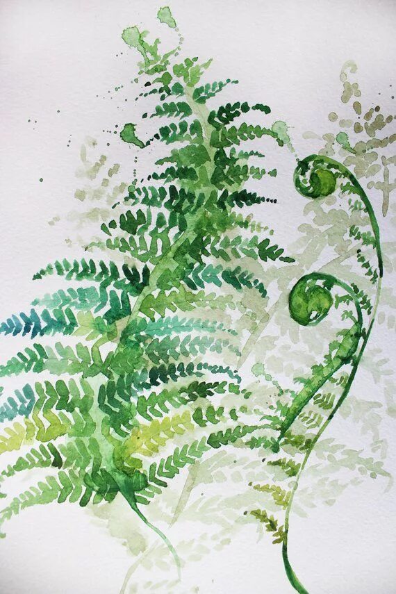 Fern art