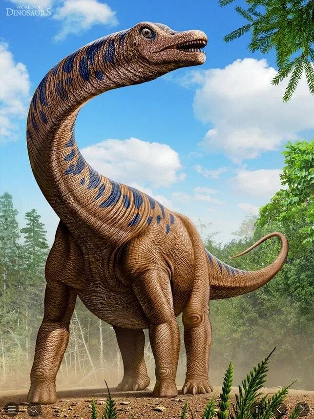 Динозавры. Большой динозавр. Красивые динозавры. Дриозавр. Больше про динозавров
