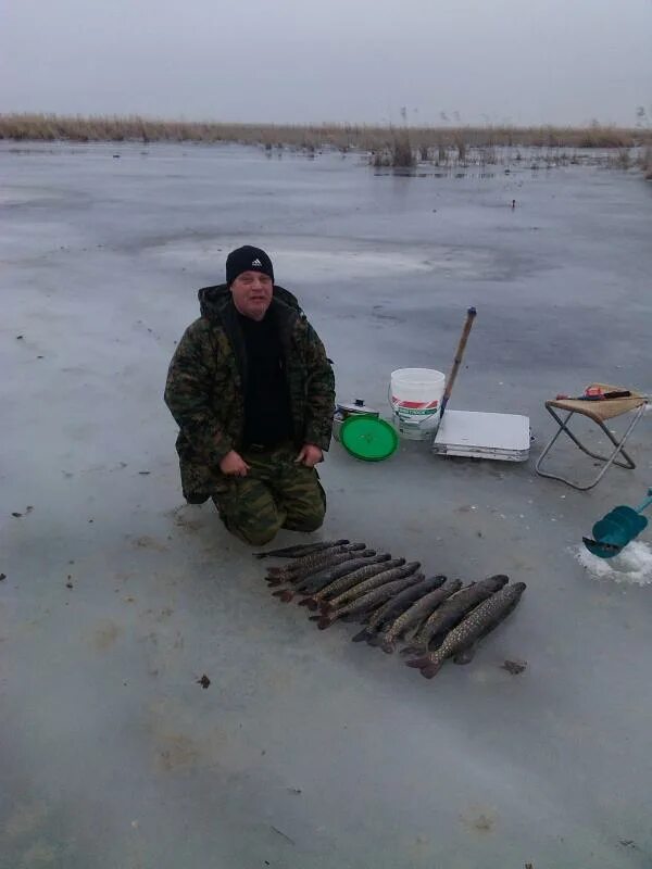 Погода лиман ставропольский край. Лысый Лиман Ставропольский край. Лысый Лиман Калмыкия. Лысый Лиман Ставропольский край рыбалка. Лысый Лиман рыбалка.