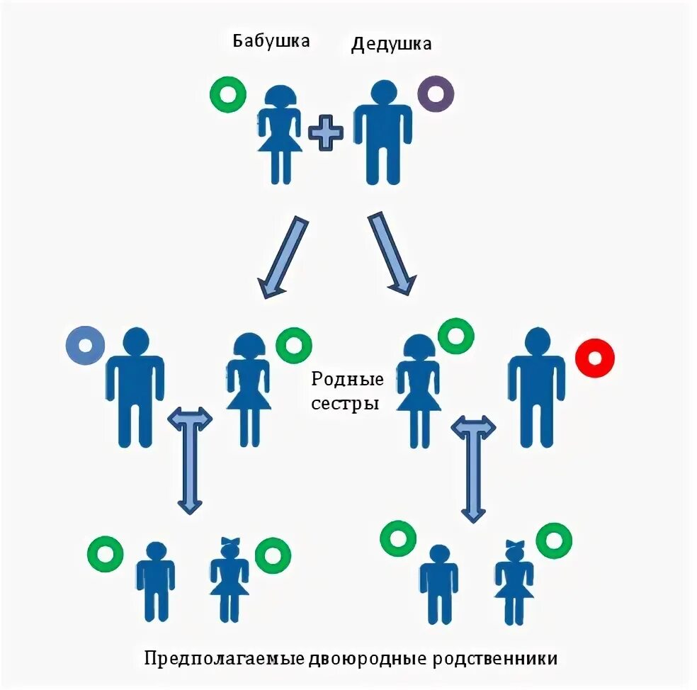 Как узнать кто кому родственник. Двоюродные брат и сестра. Схема родственников. Двоюрные и троюрные сестры. Установление родства.