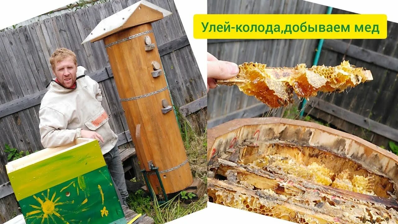 Цилиндр деревянный 100 мм. Колода для пчел из бревна. Колода дуплянка для пчел. Улей колода. Улей в колоде 5 букв сканворд.