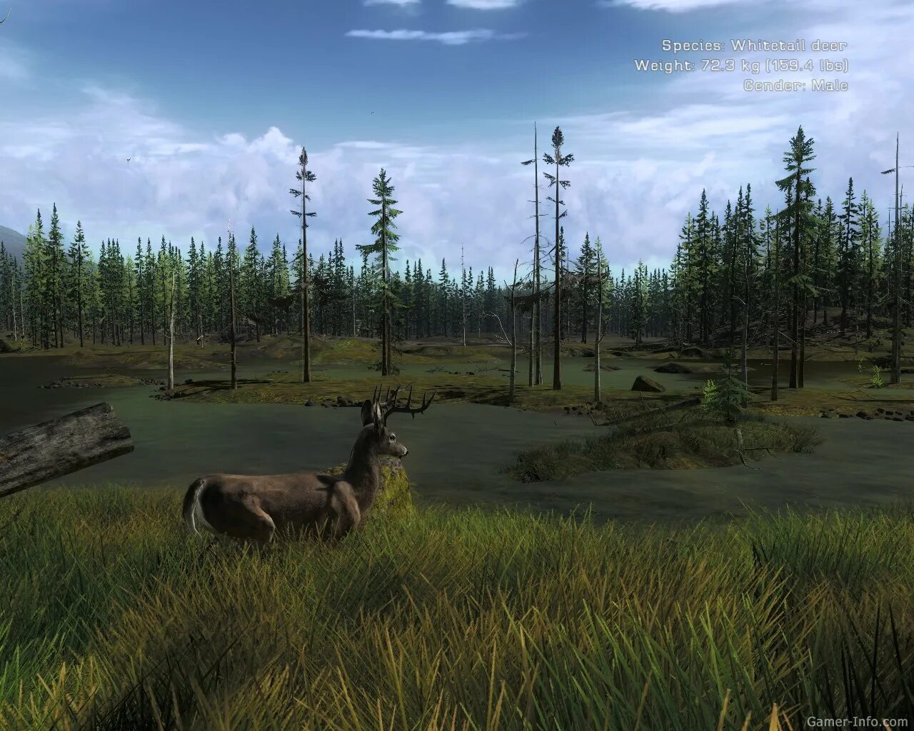 Thehunter classic. The hunter 2012. The hunter call of the wild охота на лося. The hunter 2012. Hunter: охотник - по следу хищника, the.