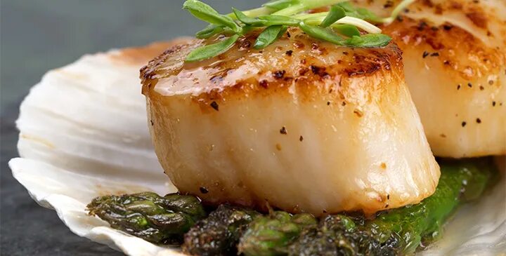 20 самых вкусных рецептов с морскими гребешками