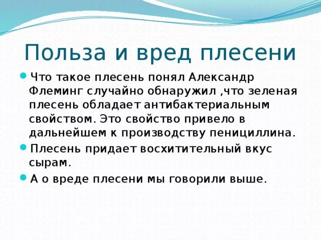 Белая плесень польза и вред. Вред и польза плесени. Полезные и вредные свойства плесени. Польза плесени. Плесень вред или польза.