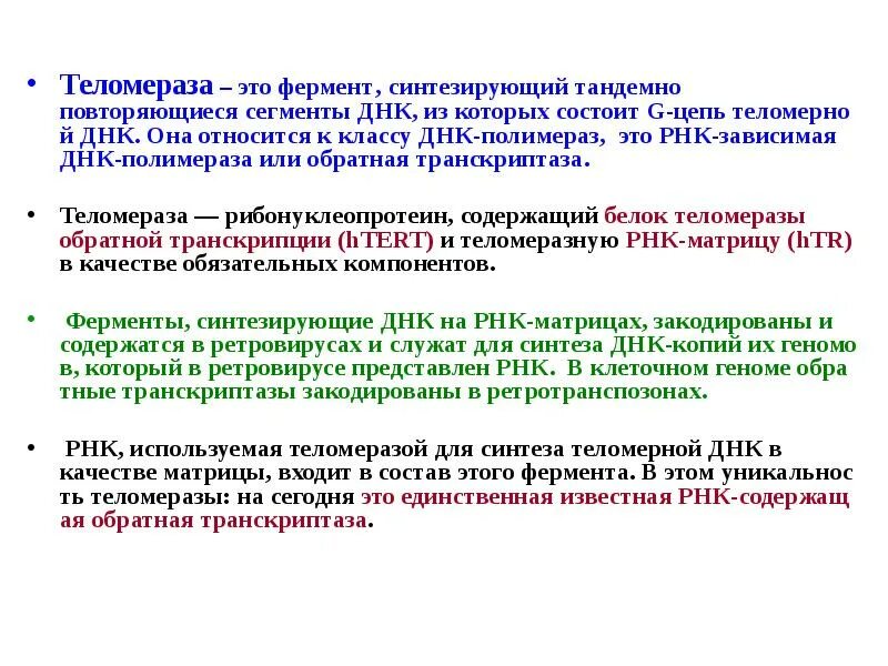 Обратная транскриптаза. Теломераза. Фермент теломераза. Теломераза ДНК зависимая РНК полимераза. Функция ТЕЛОМЕРАЗНОЙ РНК.