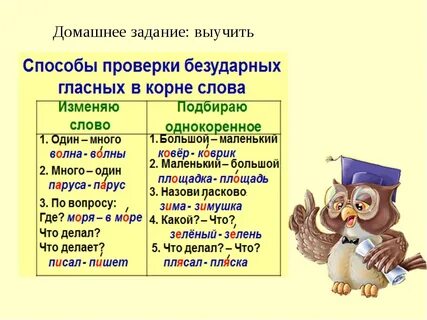 Конспект урока правописание безударных