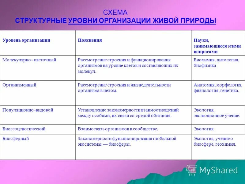Уровни организации жизни презентация