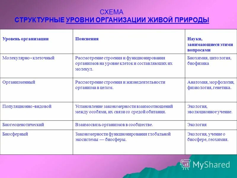 Основные уровни организации деятельности