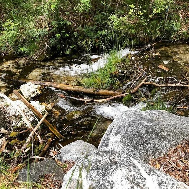 Барун-киретский аршан. Погода в аршане калмыкия. Элиста поселок аршан. Аршан булг республика калмыкия. Аршан знак калмыкия.