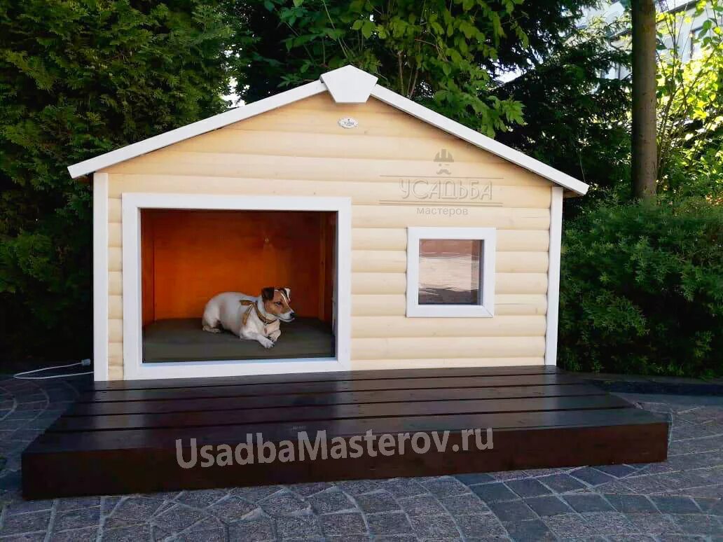 Собака джек рассел жесткошерстный. Джек рассел будка. Домик для джека рассела в квартиру. Jack russell puppies. Размеры будки для джек рассел терьера.