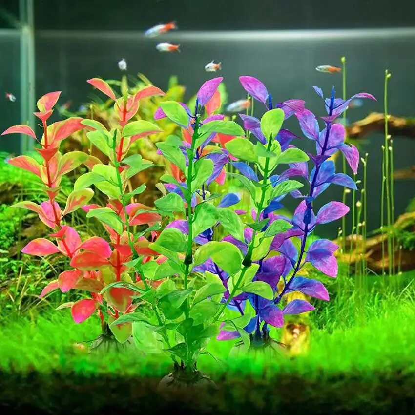 анубиас аквариумное. аквариум аквариумных растений. аквариум аквариумных растений. валлиснерия тигровая аквариумное растение. людвигия иволистная.