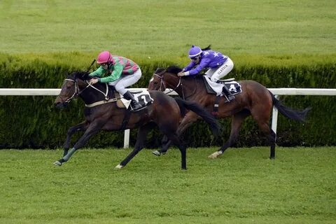 Horse race betting
