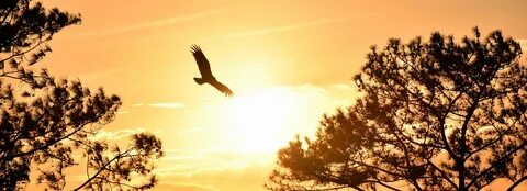 Flying towards you