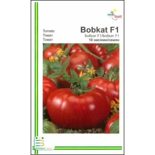 Бобкат описание сорта. Томат бобкат f1. бобкат томат голландия. помидоры бобкат описание. бобкат томат характеристика отзывы.
