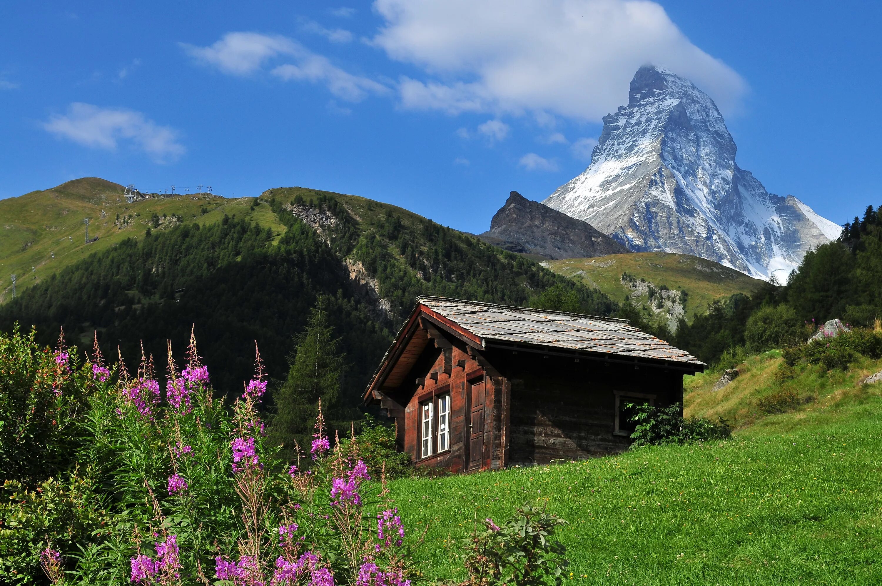 Цвет альпы. Церматт швейцария. домик в горах альпы швейцария. zermatt швейцария летом. домик у подножья горы норвегия.